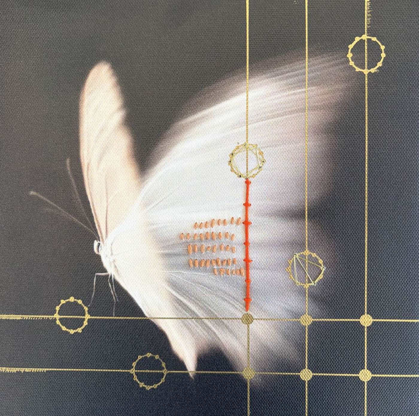 Butter Flies, original canvas, depression by Zelda Cavanaugh